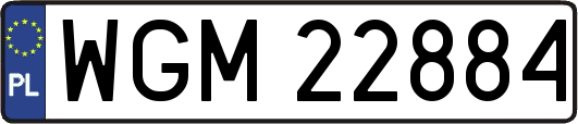 WGM22884