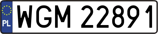 WGM22891