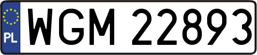 WGM22893