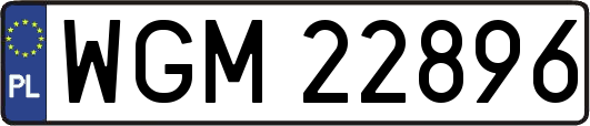 WGM22896