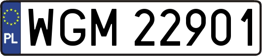 WGM22901