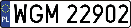 WGM22902