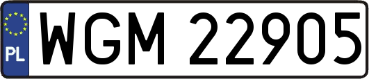 WGM22905