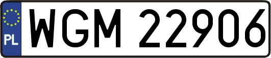 WGM22906