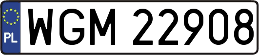 WGM22908
