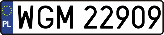 WGM22909