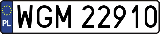 WGM22910
