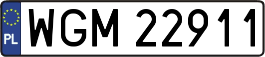 WGM22911