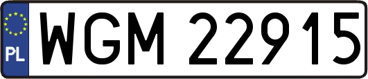 WGM22915