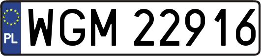 WGM22916