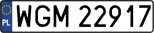 WGM22917
