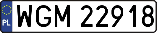 WGM22918