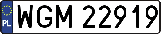 WGM22919