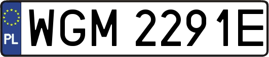 WGM2291E