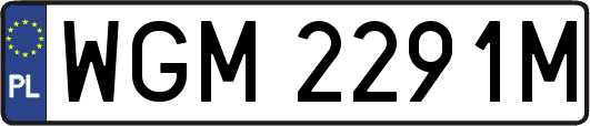 WGM2291M