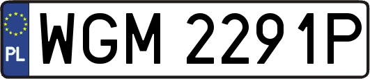 WGM2291P
