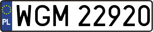 WGM22920