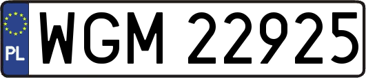 WGM22925