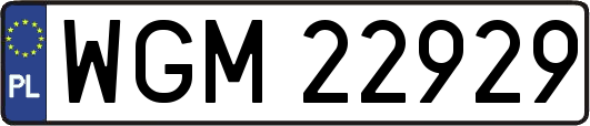 WGM22929