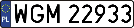 WGM22933