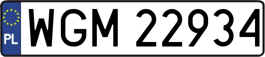 WGM22934