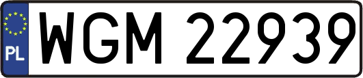 WGM22939