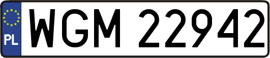 WGM22942