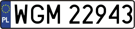 WGM22943