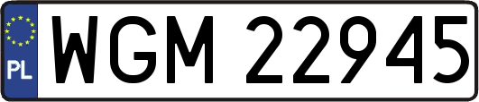 WGM22945