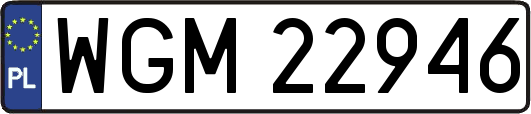 WGM22946