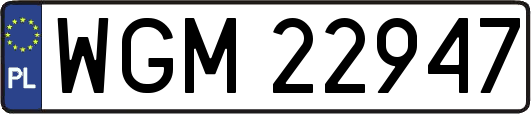 WGM22947