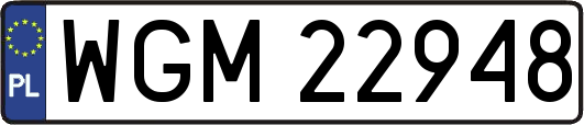 WGM22948