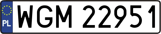 WGM22951