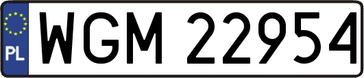 WGM22954