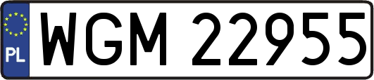 WGM22955