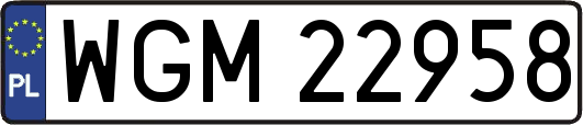 WGM22958