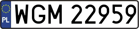 WGM22959