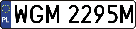 WGM2295M