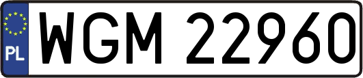 WGM22960