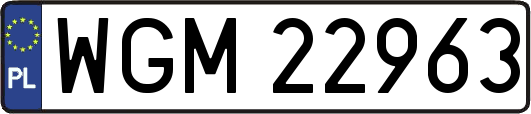 WGM22963