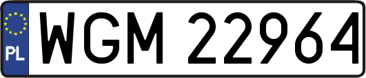 WGM22964