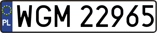 WGM22965