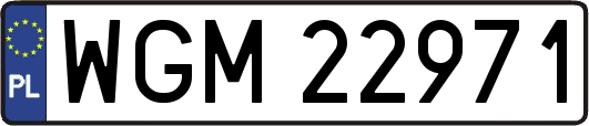 WGM22971