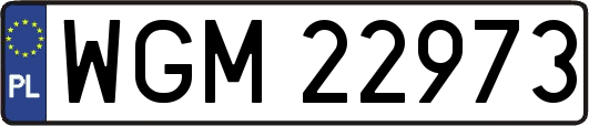 WGM22973