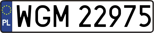 WGM22975