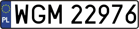 WGM22976