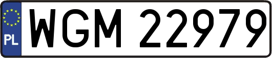 WGM22979