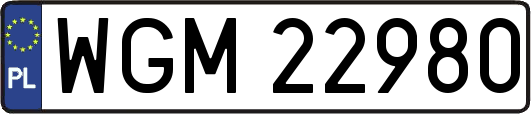 WGM22980