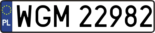 WGM22982