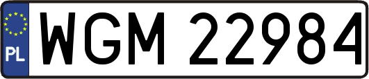 WGM22984
